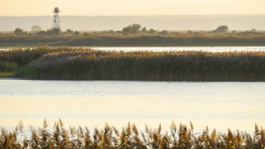 Egy új technológiával mentenek tavakat Magyarországon