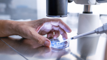 Újabb félmilliárd forint támogatás  a hazai innovációk és kutatási eredmények levédetésére