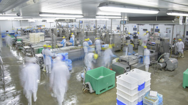 Ezért nem tudnak labdába rúgni a magyar élelmiszeripari cégek a nemzetközi piacokon 