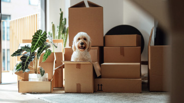 Már harmadik hónapja csökkennek folyamatosan az albérletárak