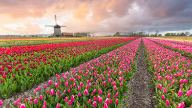 Nagy fordulat a holland nyugdíjaknál: amit eddig garantáltak, azt most elveszik