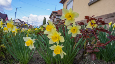 Marad a tavasz, csak épp a szél visz el