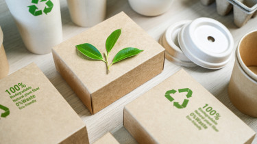 Greenwashing a célkeresztben: fél évük maradt a cégeknek a felkészülésre