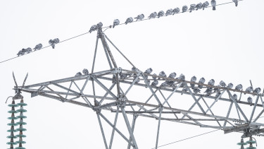 A háború hozta el a brutális nyereséget hozott egy sor európai cégnek – mutatjuk, kik kaszálnak igazán!