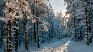 Érkezik a havazás, az ország egyes részein a táj is kifehéredik