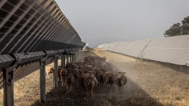 Nincs menedék a hőkupola alatt, kilőttek a magyar áramárak