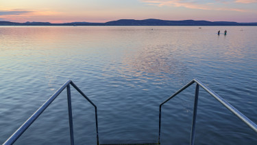 Brutális pusztítást végeztek egyetlen markolóval a Balatonnál – Teljesen megsemmisült a védett nádas, egy ritka teknős is megsérült