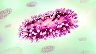 Alig kevesebb a légúti panaszos beteg, lassan tűnik el az influenzaszezon