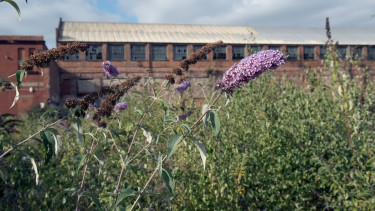 Az ingatlanfejlesztést támogatja az új magyar barnamezős adatbázis