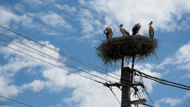 Válságok idején: így lassult le a magyar városok életminőség-növekedése