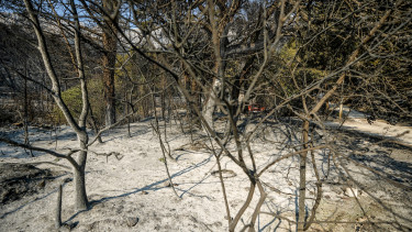 Tűzvész Brac szigetén: megszólalt a minisztérium a kimenekített csoportról
