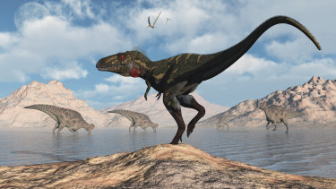 GettyImages-594381433