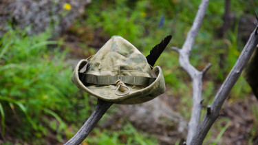 Robin Hood és a kormány