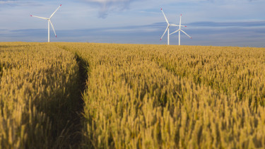 A karbongazdálkodás lehet a jövő nagy lehetősége?