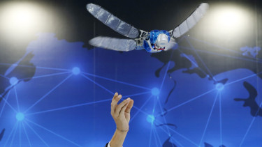 Valóra vált a sci-fi rémálom: élő rovarokat változtattak katonai eszközzé, már be is vetették őket