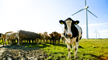 A túlélés záloga az alkalmazkodás: így menekülhet meg a magyar agrárium és élelmiszeripar