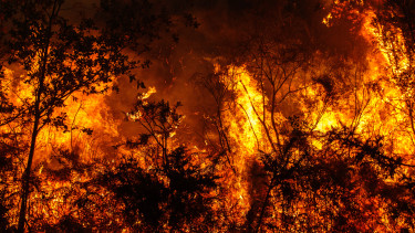 Megindult, amitől sokan rettegtek: végzetes döntést hozott a hatalmas befektetési alap