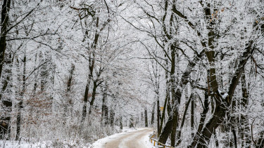 Olyan durva a helyzet Erdélyben, hogy iskolákat kellett bezárni