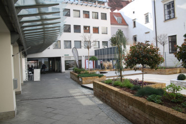 graz