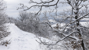 Friss időjárás-előrejelzés: narancs riasztást adtak ki hófúvás miatt, nem tágít a tél