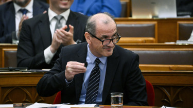 Hegedűs Zsolt: a magyar egészségügy a strukturális összeomlás szélén áll