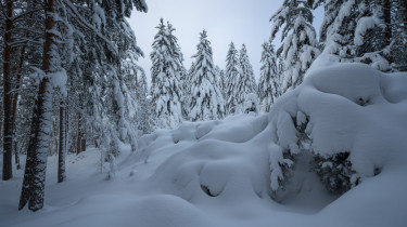 Rég nem látott, extrém hóhelyzet: mutatjuk, mit okozott a havazás