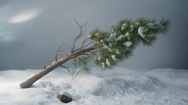 Tomboló ciklon tart Magyarország felé: északon 150 kilométer per órás széllökéseket is mértek