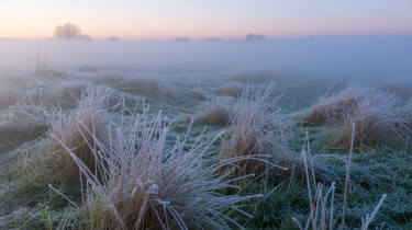 Hajnali fagyok és köd jöhet a következő napokban, de hamarosan érkezik az enyhülés