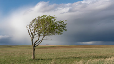 Itt a hétvégi időjárás-előrejelzés: markáns lehűlés érkezik a napokban