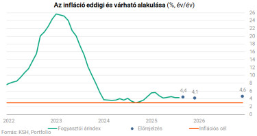 inflapoll1006