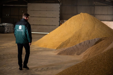 Jel nélkül Z6B_5751