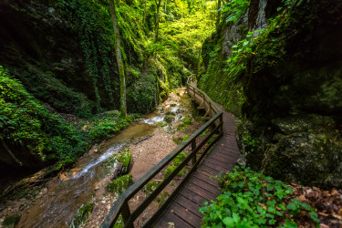Johannesbachklamm_Würflach_highres_12(c)wieneralpen_kremsl_3