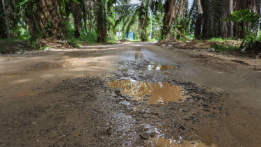 Verik az asztalt az Európai Bizottságnál: összeomlás szélére került egy kulcsfontosságú iparág