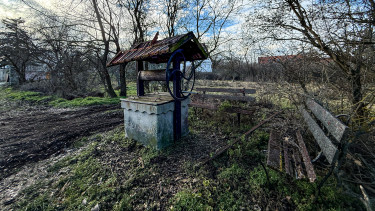 Kerti kutak: figyelmeztetést adtak ki a magyarországi tulajdonosoknak!