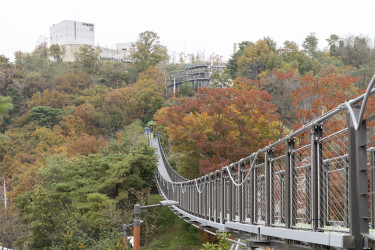 Kilátópont Egibongban a kávézóval
