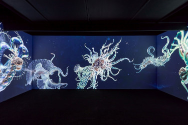 LAM Mat Collishaw_ TensorCore