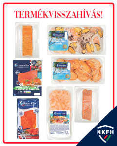 large_Nevtelen_terv_2_09e111b18c