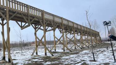 Váratlan fejlemény a hírhedt, lomb nélküli sétány ügyében