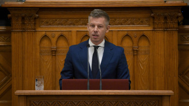Magyar Péter: valószínűleg Tasnády Katalin lesz a korrupcióellenes hivatal legfontosabb vezetője