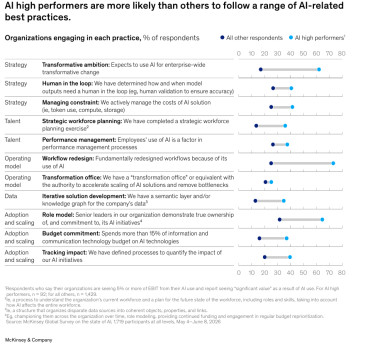 mckinsey09