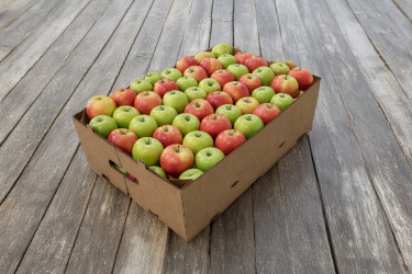 New_Fruit_and_vegetable tray
