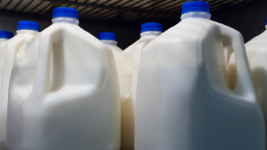 nyer tej h5n1 madárinfluenza virus-csomagolás-csomagolóanyag-doboz-élelmiszer-fogyasztás-kiskereskedelem-palack-tej-tejipar-tetra-pak