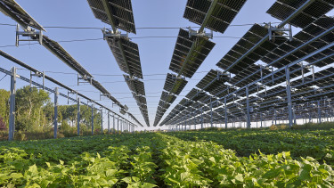 Egyetlen rendelettel meg lehetne oldani a napelemek legnagyobb problémáját, de hiányzik az akarat