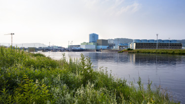 panorama-nek-ob-savi2025
