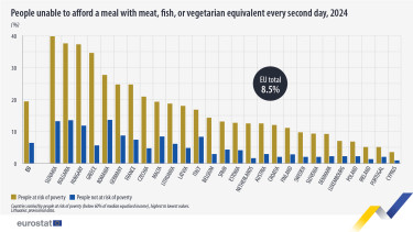 people-unable-to-afford-a-meal-2024