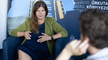 Alig másfél éve maradt a magyar cégeknek, utána teljesen új világ kezdődik az uniós pénzeknél
