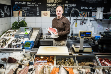 Portfolio_budaörsi halpiac_003