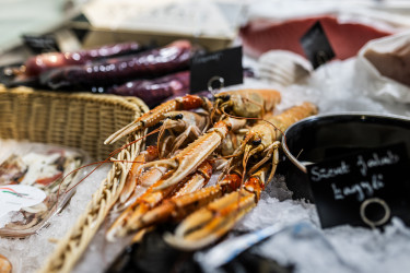 Portfolio_budaörsi halpiac_008