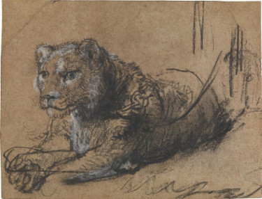 Rembrandt_Young-Lion-Resting-1024x781 Sotheby's 26 febr