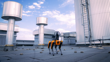 Robotkutyákat vetnek be Magyarország szomszédjában